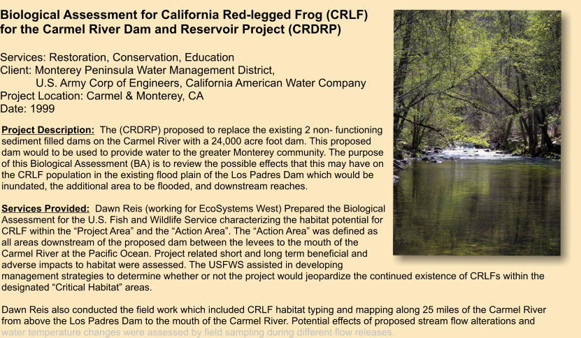 Project Description:  The (CRDRP) proposed to replace the existing 2 non- functioning sediment filled dams on the Carmel River with a 24,000 acre foot dam. This proposed dam would to be used to provide water to the greater Monterey community. The purpose of this Biological Assessment (BA) is to review the possible effects that this may have on the CRLF population in the existing flood plain of the Los Padres Dam which would be inundated, the additional area to be flooded, and downstream reaches.   Services Provided:  Dawn Reis (working for EcoSystems West) Prepared the Biological Assessment for the U.S. Fish and Wildlife Service characterizing the habitat potential for CRLF within the “Project Area” and the “Action Area”. The “Action Area” was defined as all areas downstream of the proposed dam between the levees to the mouth of the Carmel River at the Pacific Ocean. Project related short and long term beneficial and adverse impacts to habitat were assessed. The USFWS assisted in developing management strategies to determine whether or not the project would jeopardize the continued existence of CRLFs within the designated “Critical Habitat” areas.    Dawn Reis also conducted the field work which included CRLF habitat typing and mapping along 25 miles of the Carmel River from above the Los Padres Dam to the mouth of the Carmel River. Potential effects of proposed stream flow alterations and water temperature changes were assessed by field sampling during different flow releases.     Biological Assessment for California Red-legged Frog (CRLF) for the Carmel River Dam and Reservoir Project (CRDRP)  Services: Restoration, Conservation, Education Client: Monterey Peninsula Water Management District,     U.S. Army Corp of Engineers, California American Water Company Project Location: Carmel & Monterey, CA Date: 1999