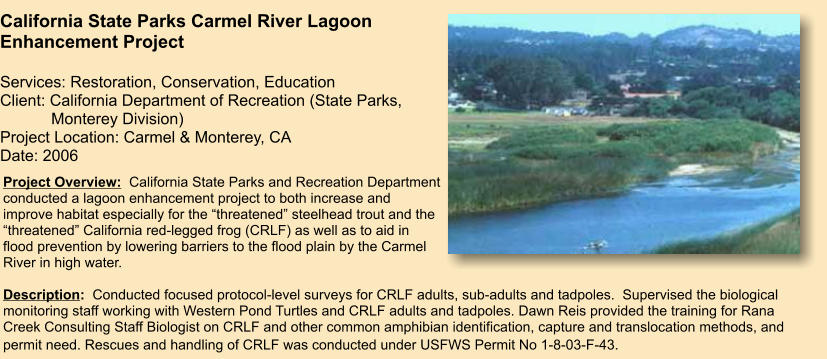 Project Overview:  California State Parks and Recreation Department conducted a lagoon enhancement project to both increase and improve habitat especially for the “threatened” steelhead trout and the “threatened” California red-legged frog (CRLF) as well as to aid in flood prevention by lowering barriers to the flood plain by the Carmel River in high water.   Description:  Conducted focused protocol-level surveys for CRLF adults, sub-adults and tadpoles.  Supervised the biological monitoring staff working with Western Pond Turtles and CRLF adults and tadpoles. Dawn Reis provided the training for Rana Creek Consulting Staff Biologist on CRLF and other common amphibian identification, capture and translocation methods, and permit need. Rescues and handling of CRLF was conducted under USFWS Permit No 1-8-03-F-43.         California State Parks Carmel River Lagoon Enhancement Project  Services: Restoration, Conservation, Education Client: California Department of Recreation (State Parks,     Monterey Division) Project Location: Carmel & Monterey, CA Date: 2006