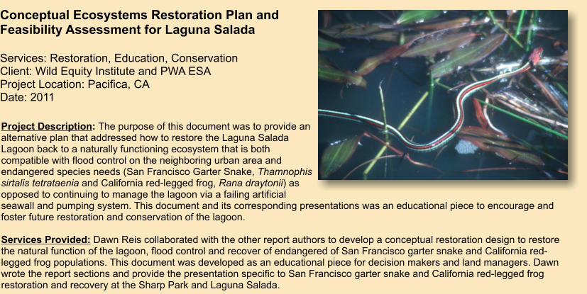 Project Description: The purpose of this document was to provide an alternative plan that addressed how to restore the Laguna Salada Lagoon back to a naturally functioning ecosystem that is both compatible with flood control on the neighboring urban area and endangered species needs (San Francisco Garter Snake, Thamnophis sirtalis tetrataenia and California red-legged frog, Rana draytonii) as opposed to continuing to manage the lagoon via a failing artificial seawall and pumping system. This document and its corresponding presentations was an educational piece to encourage and foster future restoration and conservation of the lagoon.  Services Provided: Dawn Reis collaborated with the other report authors to develop a conceptual restoration design to restore the natural function of the lagoon, flood control and recover of endangered of San Francisco garter snake and California red-legged frog populations. This document was developed as an educational piece for decision makers and land managers. Dawn wrote the report sections and provide the presentation specific to San Francisco garter snake and California red-legged frog restoration and recovery at the Sharp Park and Laguna Salada.     Conceptual Ecosystems Restoration Plan and Feasibility Assessment for Laguna Salada  Services: Restoration, Education, Conservation Client: Wild Equity Institute and PWA ESA Project Location: Pacifica, CA Date: 2011