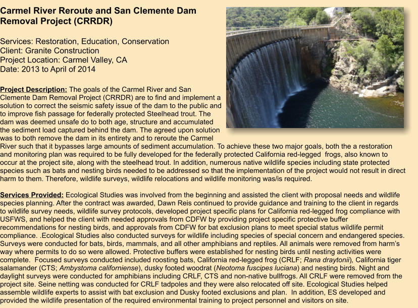 Project Description: The goals of the Carmel River and San Clemente Dam Removal Project (CRRDR) are to find and implement a solution to correct the seismic safety issue of the dam to the public and to improve fish passage for federally protected Steelhead trout. The dam was deemed unsafe do to both age, structure and accumulated the sediment load captured behind the dam. The agreed upon solution was to both remove the dam in its entirety and to reroute the Carmel River such that it bypasses large amounts of sediment accumulation. To achieve these two major goals, both the a restoration and monitoring plan was required to be fully developed for the federally protected California red-legged  frogs, also known to occur at the project site, along with the steelhead trout. In addition, numerous native wildlife species including state protected species such as bats and nesting birds needed to be addressed so that the implementation of the project would not result in direct harm to them. Therefore, wildlife surveys, wildlife relocations and wildlife monitoring was/is required.  Services Provided: Ecological Studies was involved from the beginning and assisted the client with proposal needs and wildlife species planning. After the contract was awarded, Dawn Reis continued to provide guidance and training to the client in regards to wildlife survey needs, wildlife survey protocols, developed project specific plans for California red-legged frog compliance with USFWS, and helped the client with needed approvals from CDFW by providing project specific protective buffer recommendations for nesting birds, and approvals from CDFW for bat exclusion plans to meet special status wildlife permit compliance. .Ecological Studies also conducted surveys for wildlife including species of special concern and endangered species. Surveys were conducted for bats, birds, mammals, and all other amphibians and reptiles. All animals were removed from harm’s way where permits to do so were allowed. Protective buffers were established for nesting birds until nesting activities were complete.  Focused surveys conducted included roosting bats, California red-legged frog (CRLF; Rana draytonii), California tiger salamander (CTS; Ambystoma californiense), dusky footed woodrat (Neotoma fuscipes luciana) and nesting birds. Night and daylight surveys were conducted for amphibians including CRLF, CTS and non-native bullfrogs. All CRLF were removed from the project site. Seine netting was conducted for CRLF tadpoles and they were also relocated off site. Ecological Studies helped assemble wildlife experts to assist with bat exclusion and Dusky footed exclusions and plan.  In addition, ES developed and provided the wildlife presentation of the required environmental training to project personnel and visitors on site.  Carmel River Reroute and San Clemente Dam Removal Project (CRRDR)  Services: Restoration, Education, Conservation Client: Granite Construction Project Location: Carmel Valley, CA Date: 2013 to April of 2014