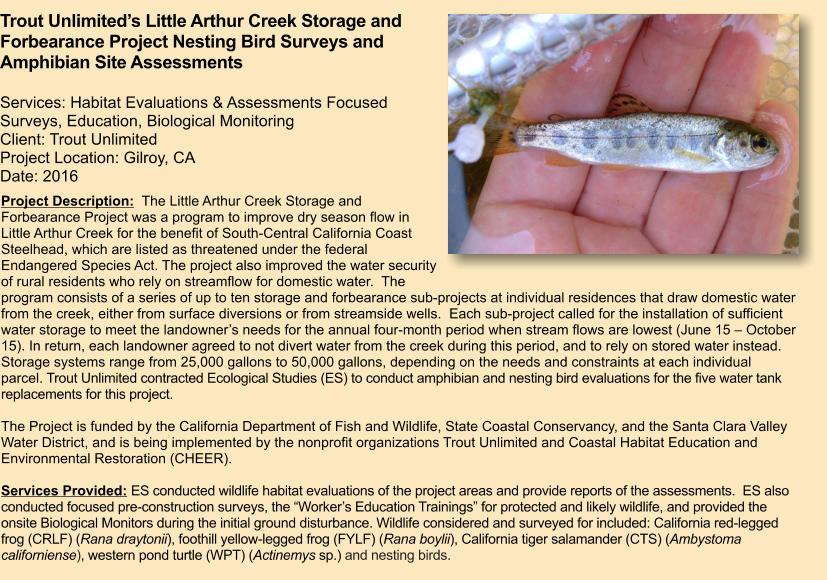 Project Description:  The Little Arthur Creek Storage and Forbearance Project was a program to improve dry season flow in Little Arthur Creek for the benefit of South-Central California Coast Steelhead, which are listed as threatened under the federal Endangered Species Act. The project also improved the water security of rural residents who rely on streamflow for domestic water.  The program consists of a series of up to ten storage and forbearance sub-projects at individual residences that draw domestic water from the creek, either from surface diversions or from streamside wells.  Each sub-project called for the installation of sufficient water storage to meet the landowner’s needs for the annual four-month period when stream flows are lowest (June 15 – October 15). In return, each landowner agreed to not divert water from the creek during this period, and to rely on stored water instead.  Storage systems range from 25,000 gallons to 50,000 gallons, depending on the needs and constraints at each individual parcel. Trout Unlimited contracted Ecological Studies (ES) to conduct amphibian and nesting bird evaluations for the five water tank replacements for this project.  The Project is funded by the California Department of Fish and Wildlife, State Coastal Conservancy, and the Santa Clara Valley Water District, and is being implemented by the nonprofit organizations Trout Unlimited and Coastal Habitat Education and Environmental Restoration (CHEER).  Services Provided: ES conducted wildlife habitat evaluations of the project areas and provide reports of the assessments.  ES also conducted focused pre-construction surveys, the “Worker’s Education Trainings” for protected and likely wildlife, and provided the onsite Biological Monitors during the initial ground disturbance. Wildlife considered and surveyed for included: California red-legged frog (CRLF) (Rana draytonii), foothill yellow-legged frog (FYLF) (Rana boylii), California tiger salamander (CTS) (Ambystoma californiense), western pond turtle (WPT) (Actinemys sp.) and nesting birds.       Trout Unlimited’s Little Arthur Creek Storage and Forbearance Project Nesting Bird Surveys and Amphibian Site Assessments  Services: Habitat Evaluations & Assessments Focused Surveys, Education, Biological Monitoring Client: Trout Unlimited  Project Location: Gilroy, CA Date: 2016