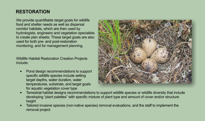 RESTORATION We provide quantifiable target goals for wildlife food and shelter needs as well as dispersal corridor habitats, which are then used by hydrologists, engineers and vegetation specialists to create plan sheets. These target goals are also used for both pre- and post-restoration monitoring, and for management planning.    Wildlife Habitat Restoration Creation Projects include:    •	Pond design recommendations to support specific wildlife species include setting target depths, water duration, water temperatures, substrate, and target goals for aquatic vegetation cover type •	Terrestrial habitat designs recommendations to support wildlife species or wildlife diversity that include developing “plant palettes” with specific mixture of plant type and amount of cover and/or structure height •	Tailored invasive species (non-native species) removal evaluations, and the staff to implement the removal project