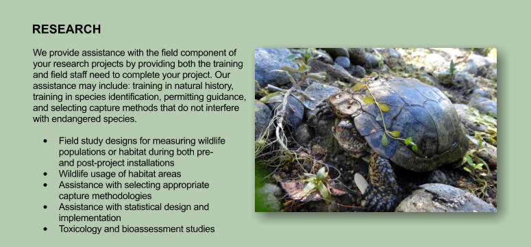 RESEARCH We provide assistance with the field component of your research projects by providing both the training and field staff need to complete your project. Our assistance may include: training in natural history, training in species identification, permitting guidance, and selecting capture methods that do not interfere with endangered species.   •	Field study designs for measuring wildlife populations or habitat during both pre- and post-project installations  •	Wildlife usage of habitat areas •	Assistance with selecting appropriate capture methodologies  •	Assistance with statistical design and implementation •	Toxicology and bioassessment studies