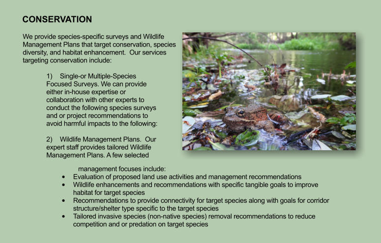 CONSERVATION  We provide species-specific surveys and Wildlife Management Plans that target conservation, species diversity, and habitat enhancement.  Our services targeting conservation include:  1)	Single-or Multiple-Species Focused Surveys. We can provide either in-house expertise or collaboration with other experts to conduct the following species surveys and or project recommendations to avoid harmful impacts to the following:  2)	Wildlife Management Plans.  Our expert staff provides tailored Wildlife Management Plans. A few selected management focuses include:  •	Evaluation of proposed land use activities and management recommendations •	Wildlife enhancements and recommendations with specific tangible goals to improve habitat for target species •	Recommendations to provide connectivity for target species along with goals for corridor structure/shelter type specific to the target species •	Tailored invasive species (non-native species) removal recommendations to reduce competition and or predation on target species
