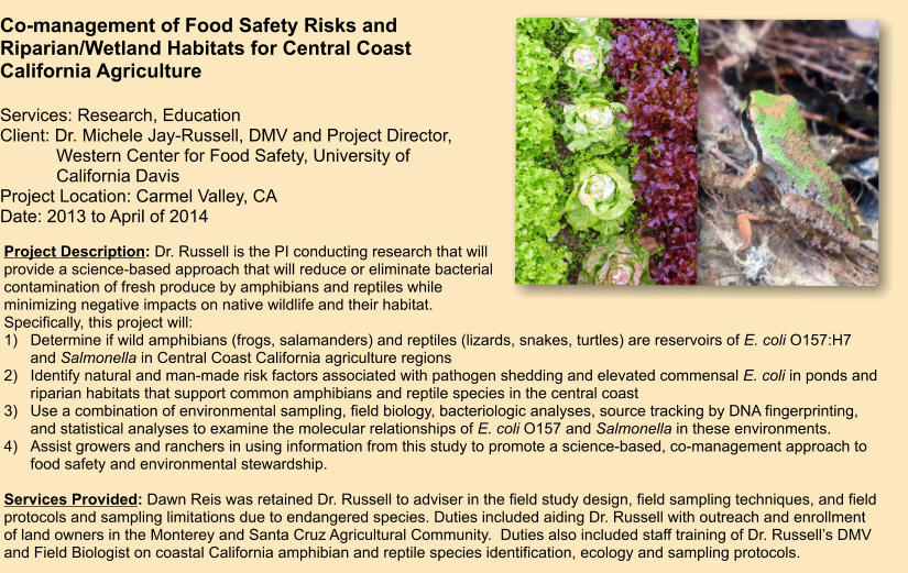 Project Description: Dr. Russell is the PI conducting research that will provide a science-based approach that will reduce or eliminate bacterial contamination of fresh produce by amphibians and reptiles while minimizing negative impacts on native wildlife and their habitat.  Specifically, this project will: 1)	Determine if wild amphibians (frogs, salamanders) and reptiles (lizards, snakes, turtles) are reservoirs of E. coli O157:H7 and Salmonella in Central Coast California agriculture regions 2)	Identify natural and man-made risk factors associated with pathogen shedding and elevated commensal E. coli in ponds and riparian habitats that support common amphibians and reptile species in the central coast 3)	Use a combination of environmental sampling, field biology, bacteriologic analyses, source tracking by DNA fingerprinting, and statistical analyses to examine the molecular relationships of E. coli O157 and Salmonella in these environments.  4)	Assist growers and ranchers in using information from this study to promote a science-based, co-management approach to food safety and environmental stewardship.  Services Provided: Dawn Reis was retained Dr. Russell to adviser in the field study design, field sampling techniques, and field protocols and sampling limitations due to endangered species. Duties included aiding Dr. Russell with outreach and enrollment of land owners in the Monterey and Santa Cruz Agricultural Community.  Duties also included staff training of Dr. Russell’s DMV and Field Biologist on coastal California amphibian and reptile species identification, ecology and sampling protocols.   Co-management of Food Safety Risks and Riparian/Wetland Habitats for Central Coast California Agriculture  Services: Research, Education Client: Dr. Michele Jay-Russell, DMV and Project Director,     Western Center for Food Safety, University of             California Davis Project Location: Carmel Valley, CA Date: 2013 to April of 2014